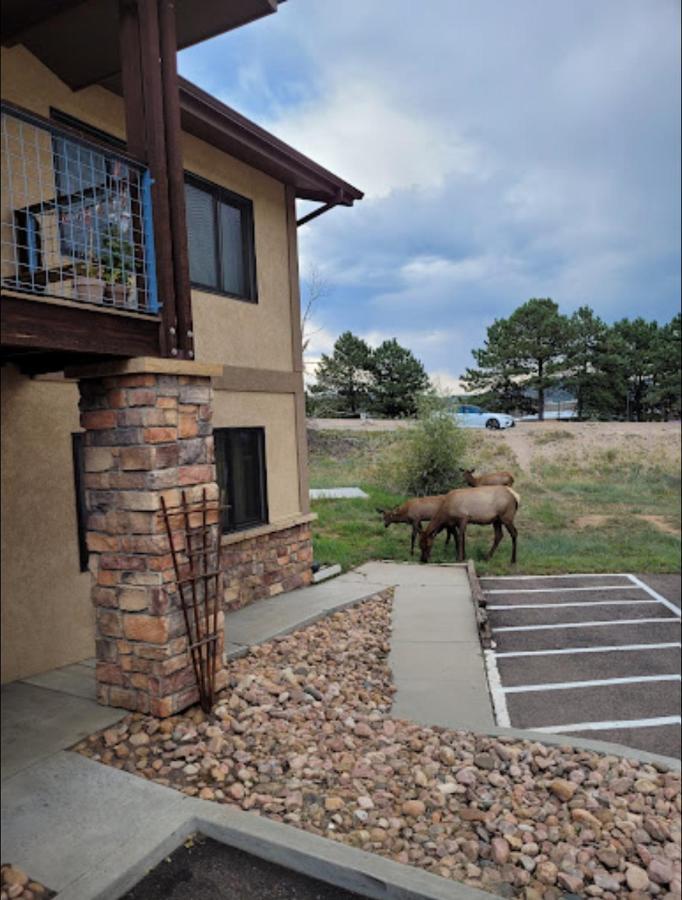 The Haber Motel Estes Park Esterno foto