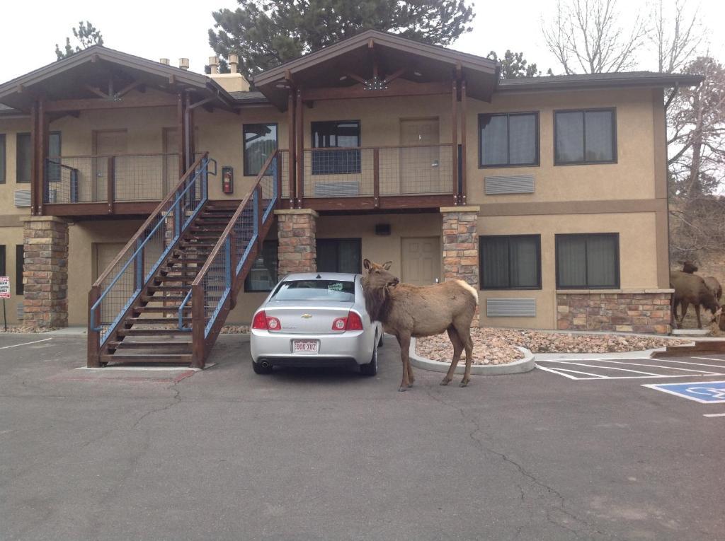 The Haber Motel Estes Park Camera foto