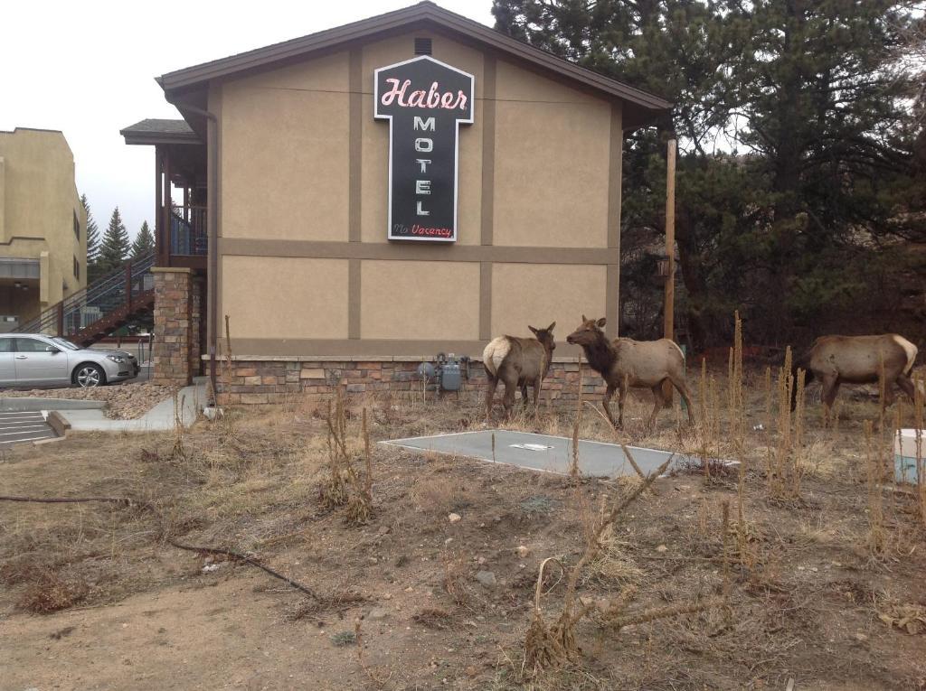 The Haber Motel Estes Park Camera foto